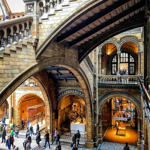Natural History Museum London A grand interior with ornate arches and a staircase showcases a fossil skeleton in a well-lit display, perfectly fitting into any tour itinerary. People walk on the patterned floor beneath, surrounded by architectural details and large windows.