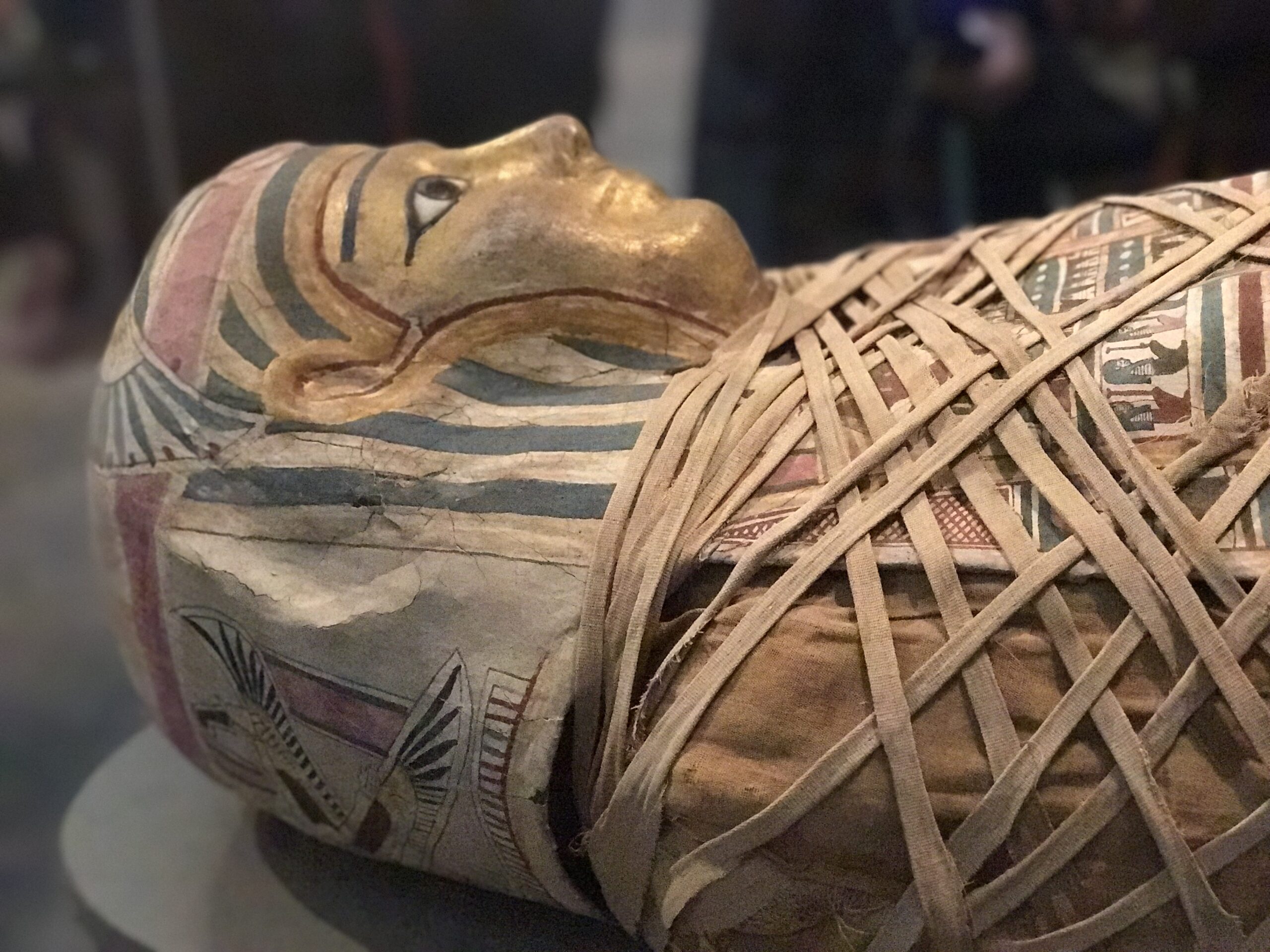A close-up of an ancient Egyptian mummy with a painted, golden face mask and intricate linen wrappings, displayed in a museum setting. Egyptian Museum Nate Loper